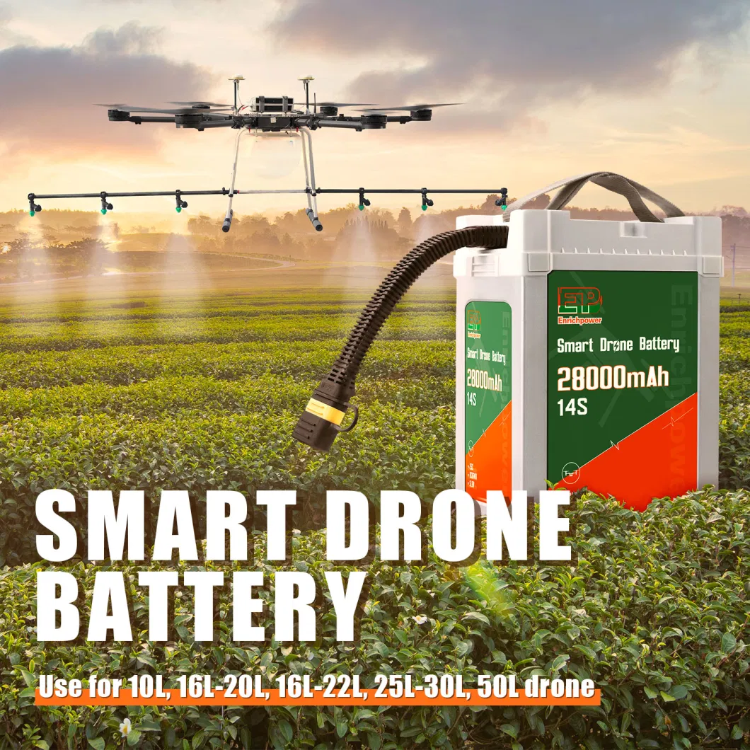 Benutzerdefiniertes Drohnen-Strommodul 51,8 V Batterieflugdrone AC-DC-Modul 2